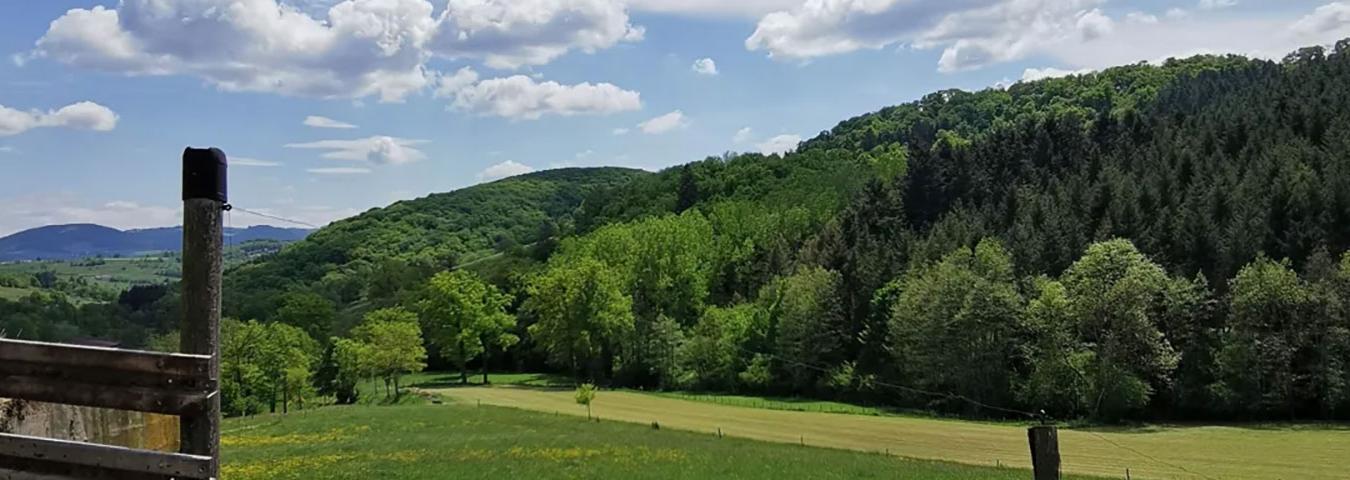 Les chemins vers l'Oasis de Chamousset